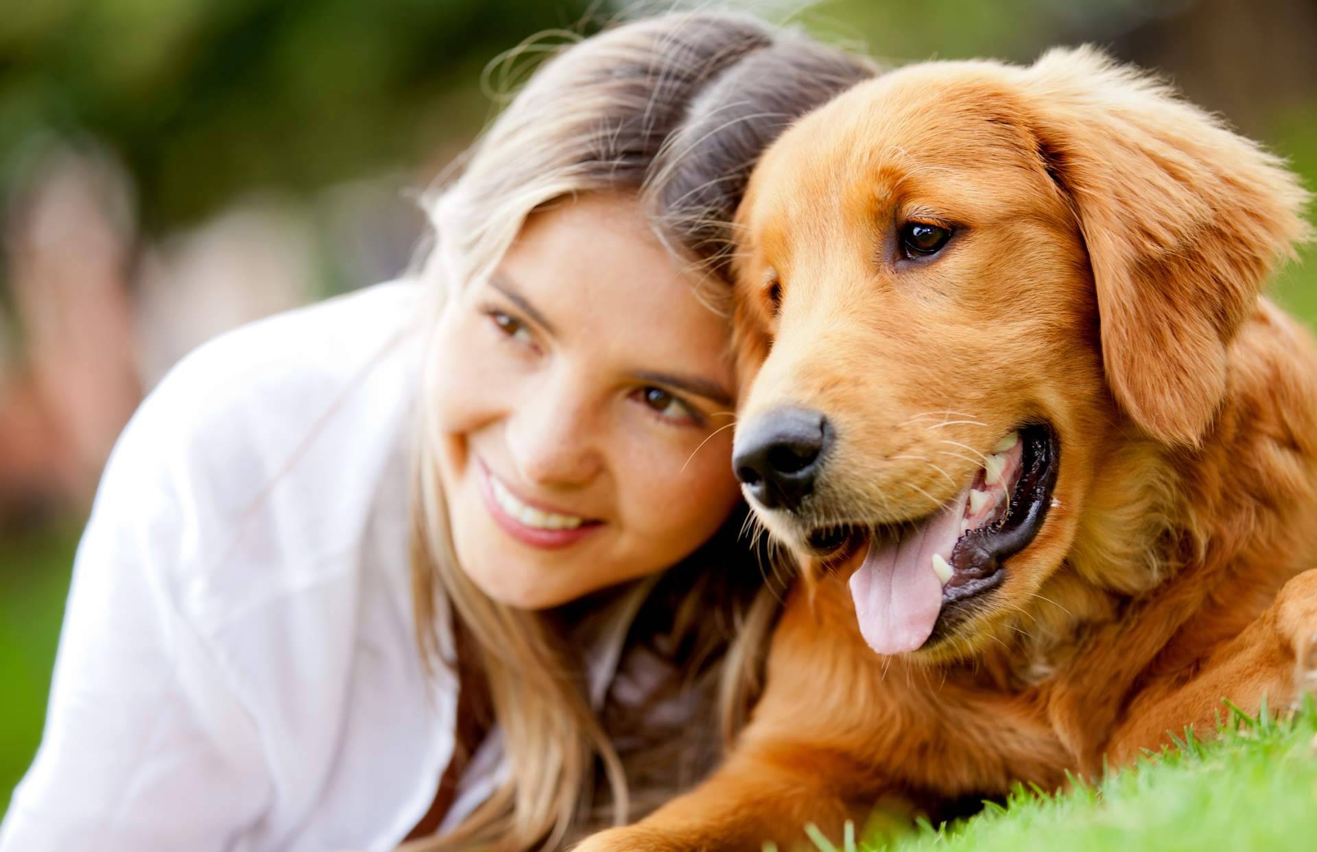 La nueva marca de pienso natural para perros y gatos a base de proteína de insecto, Ginqo, está disponible en España