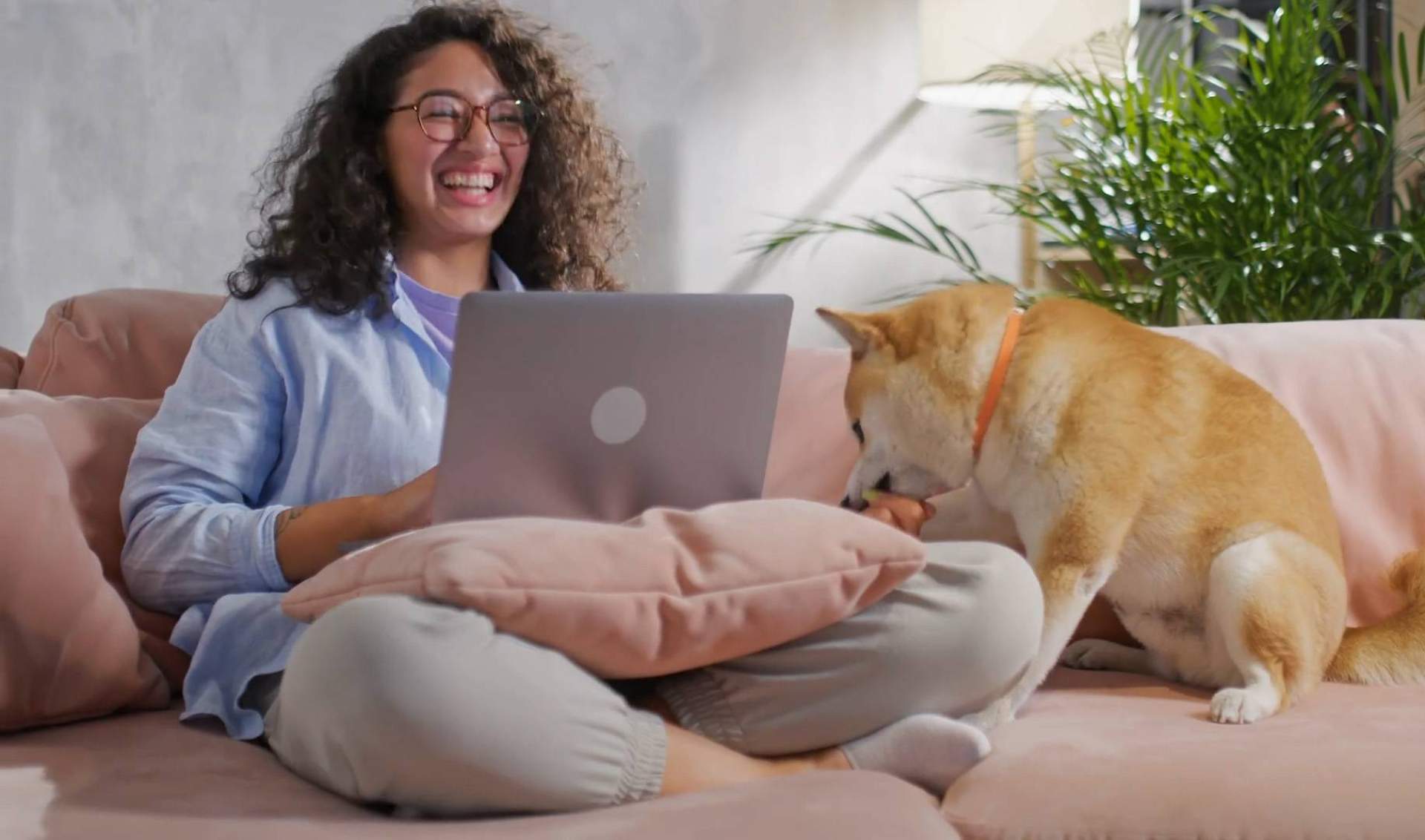 'Buscamos una agencia de marketing completa y con experiencia, y la encontramos', asegura Wolves Legacy