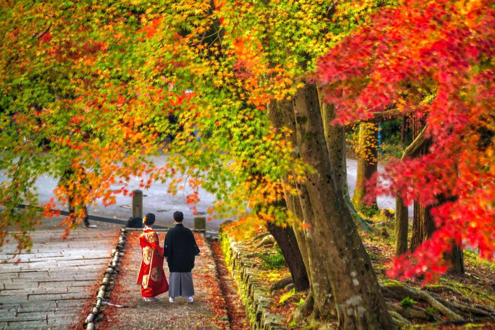 Por qué viajar para conocer la capital de Japón en la luna de miel, por Viaxes Low Cost