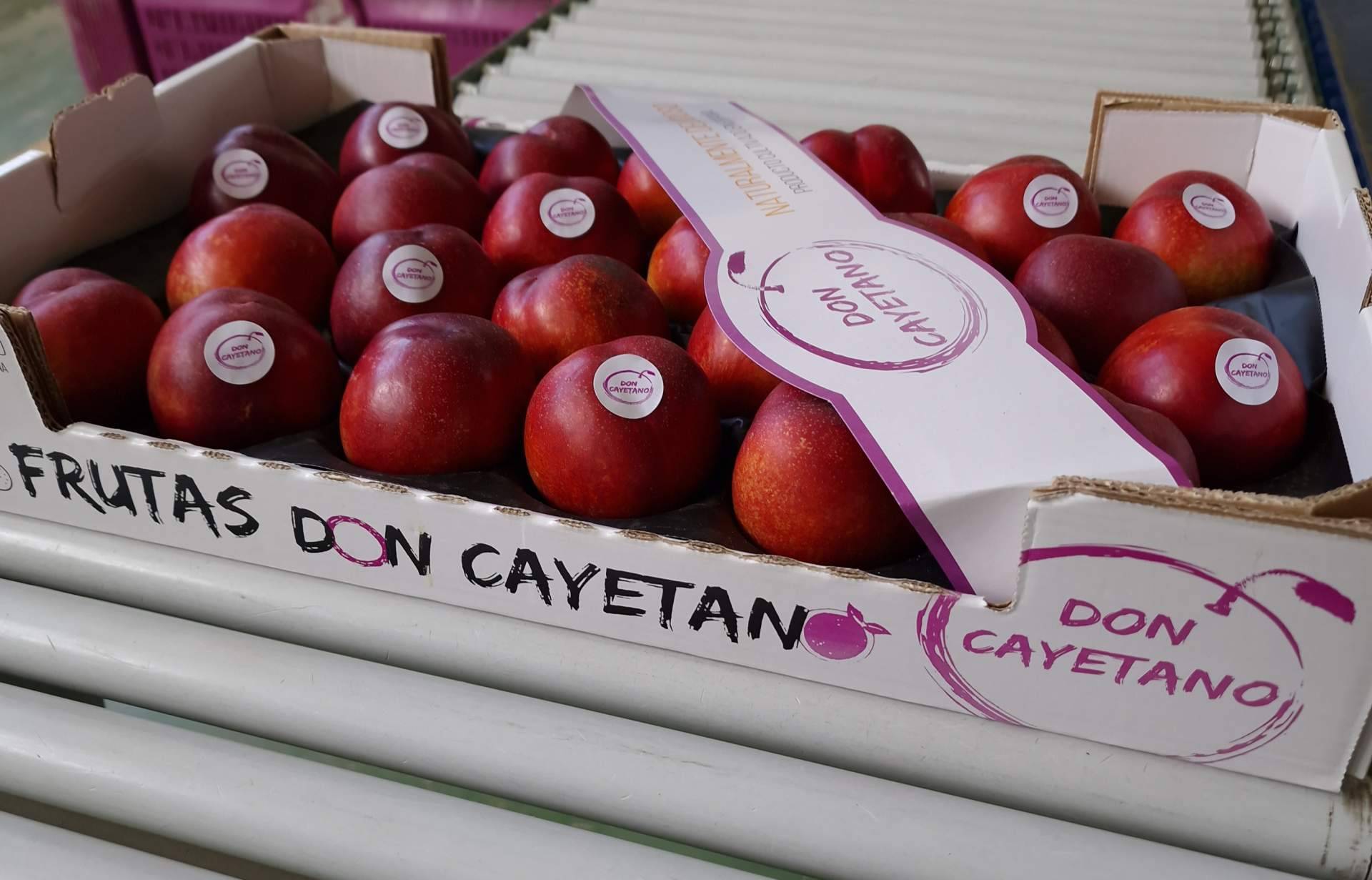La creciente expansión de la empresa española Frutas Don Cayetano