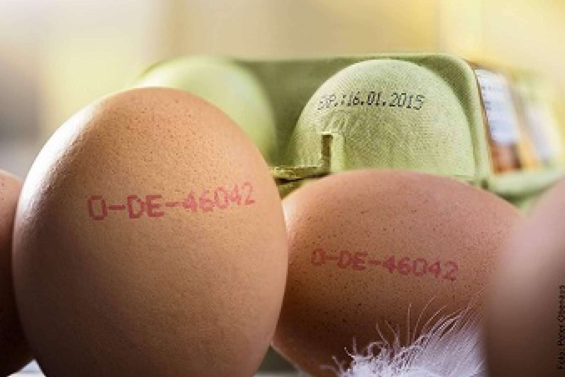 La importancia de la trazabilidad ante una alerta alimentaria