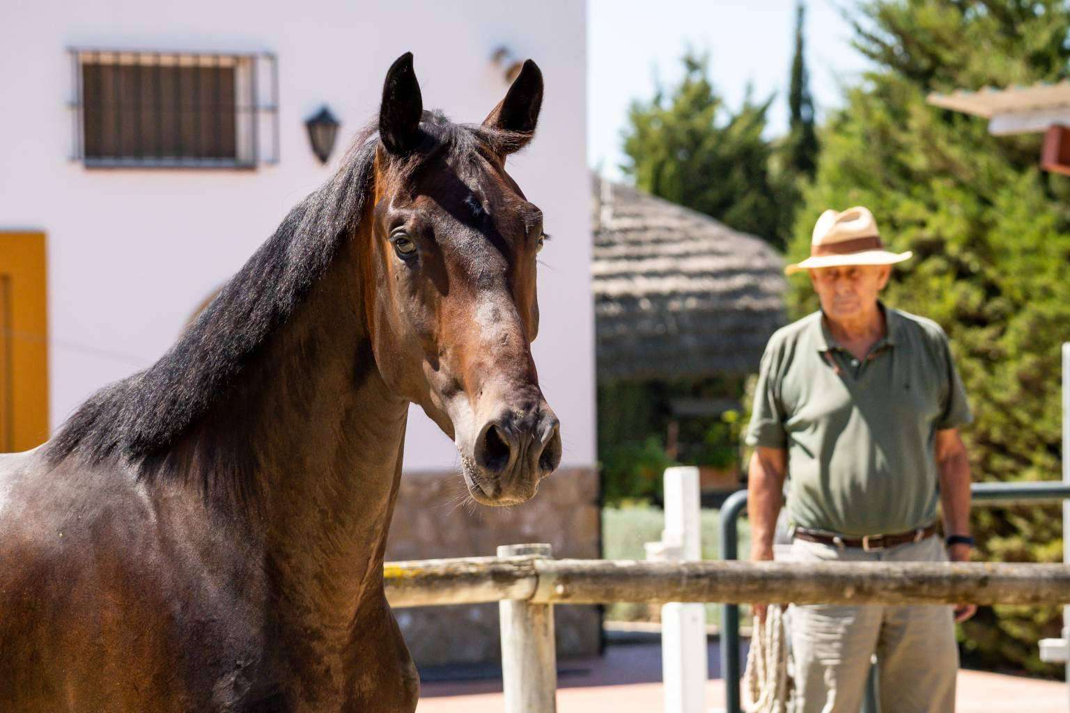 Yeguada Encinasola, el centro donde cuidar de la salud tanto de jinetes como de caballos