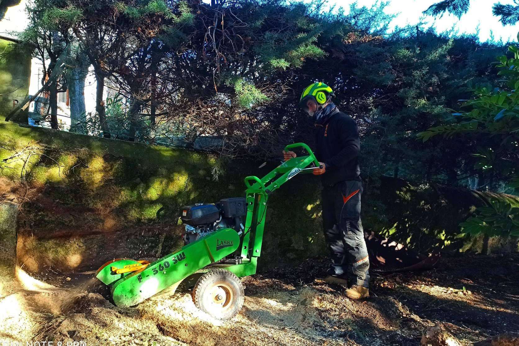 Talas de Árboles, empresa ubicada en Madrid, ofrece un servicio profesional de poda de árboles