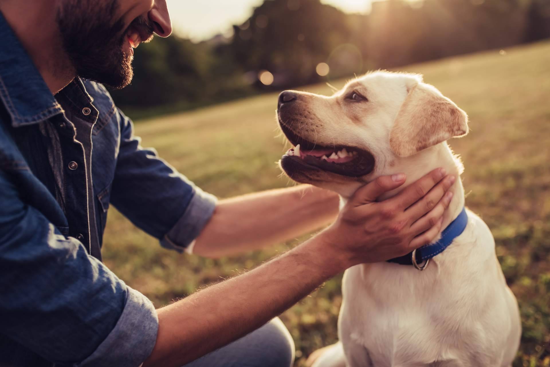 ¿Cómo terminar con la infelicidad laboral?, con El Perro Feliz