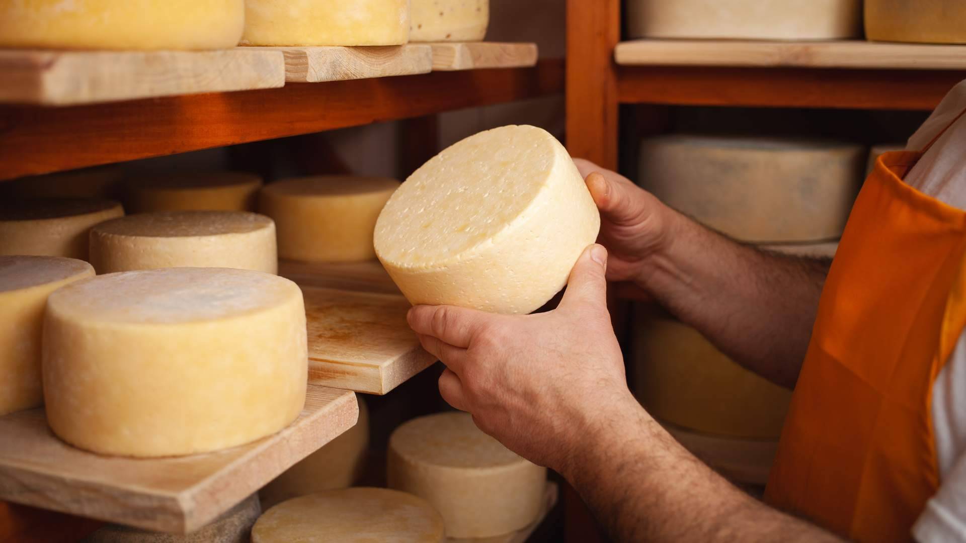 Sabores de Tallante, una quesería artesana española galardonada por sus quesos de cabra artesanos