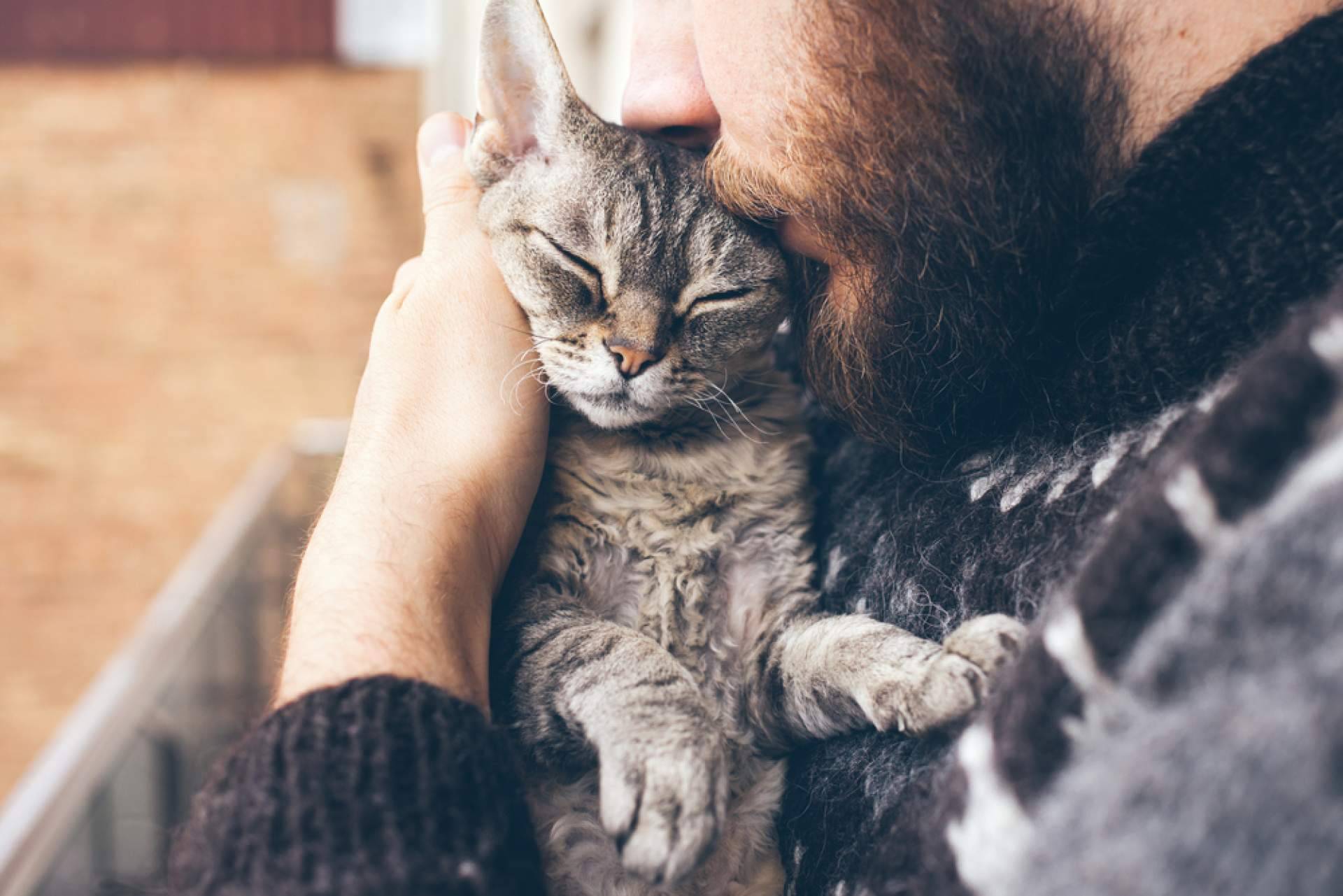 CaniAusa habla de la necesidad de una buena alimentación para los perros y gatos que están en centros de acogida