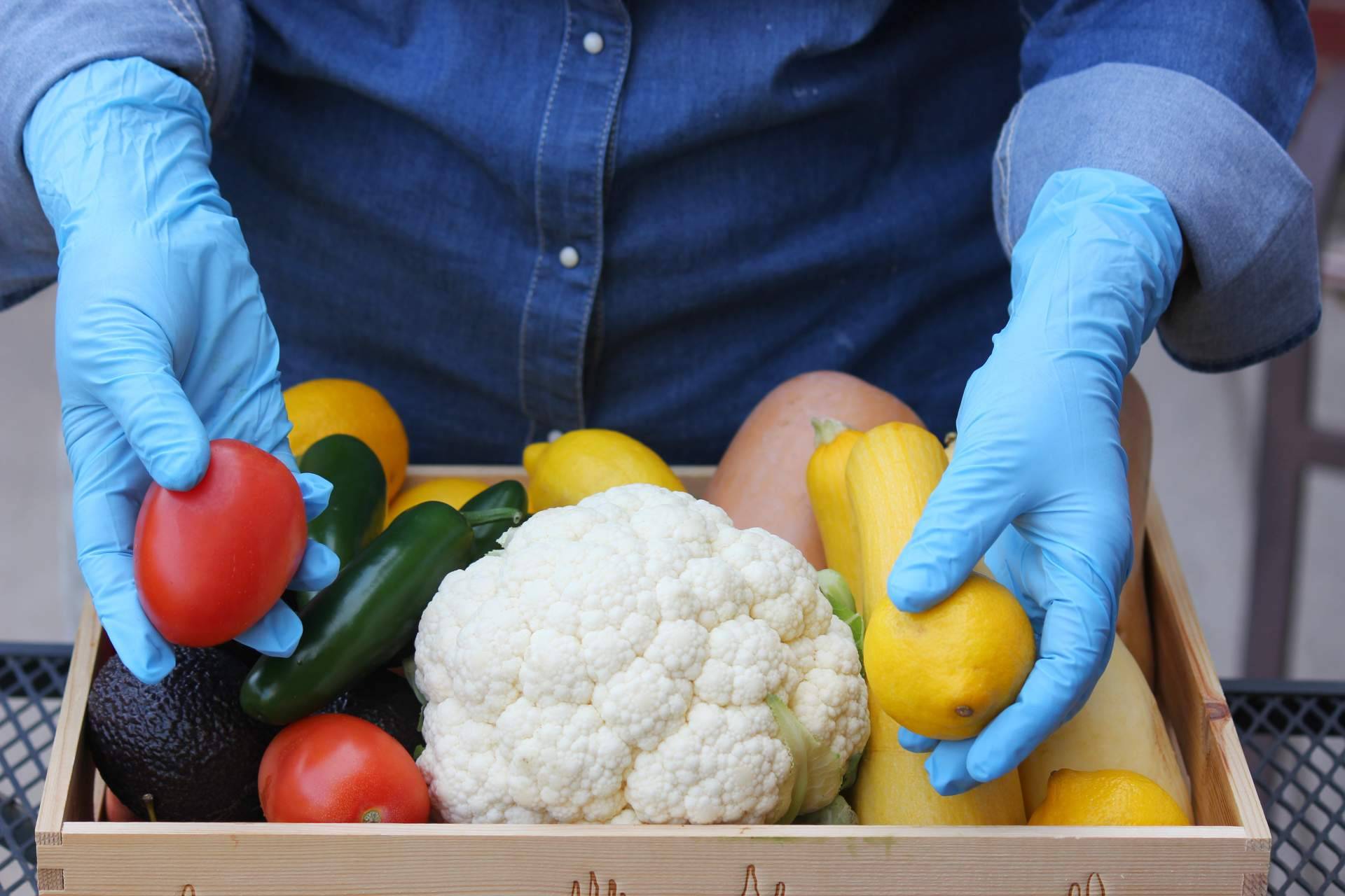 La posibilidad de realizar de forma gratuita el curso de manipulador de alimentos, por Damito - Tecnas