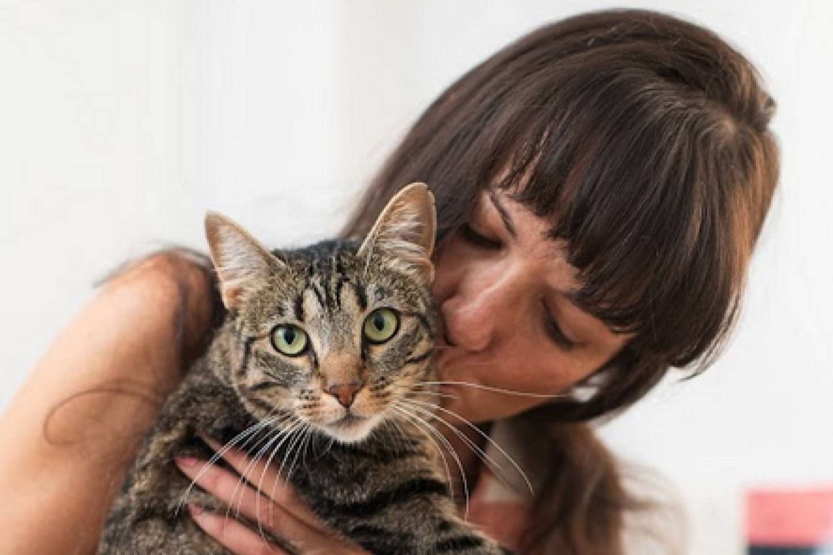 Ginqo brinda un alimento hipoalergénico, sin gluten y ecológico para mascotas