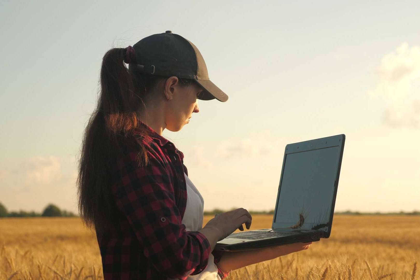 ERP Cuadernos de Explotación, el software de Certitec que permite optimizar la gestión de las explotaciones agrícolas y agropecuarias en España