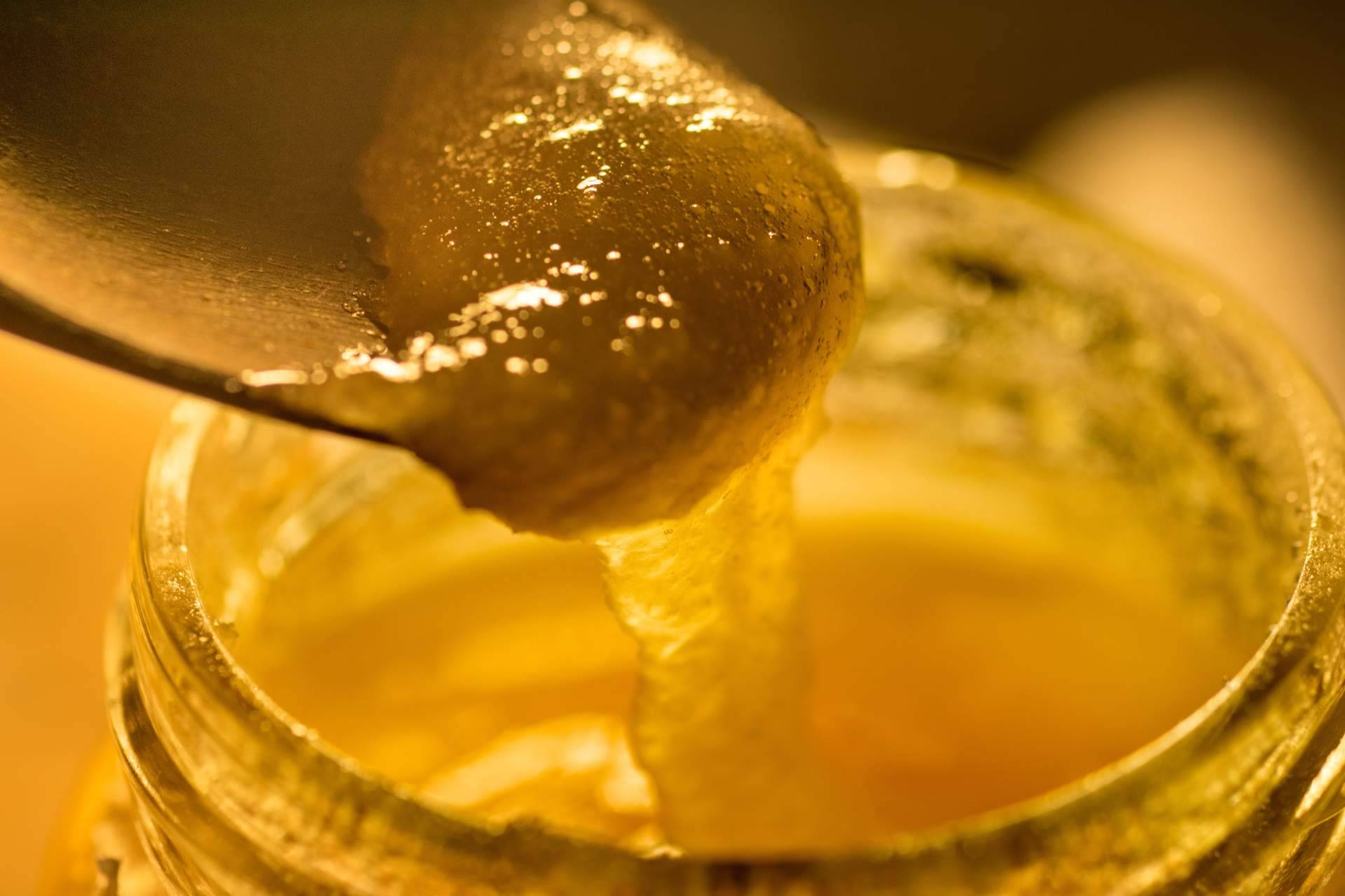 Cuáles son los beneficios de consumir la jalea real y propolis