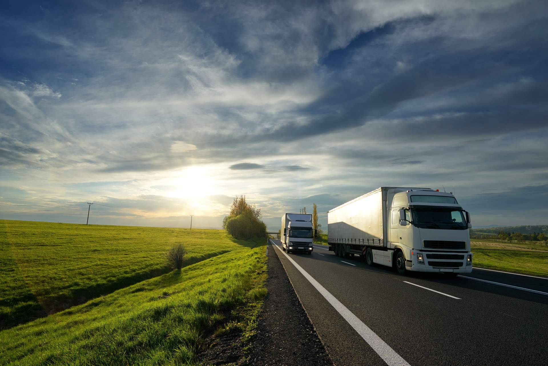 WeMob ofrece tecnología y calidad en transporte a temperatura controlada
