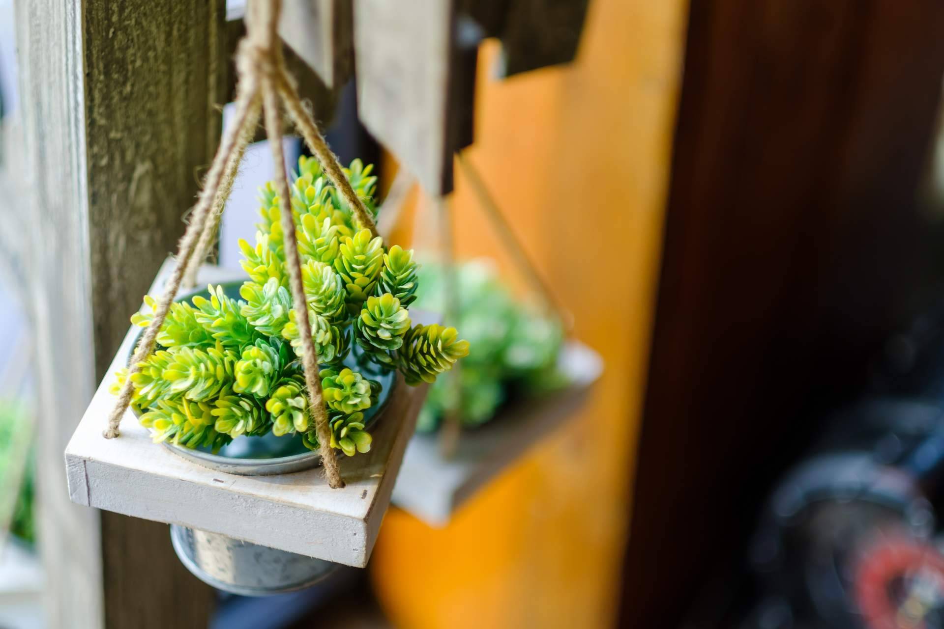 7 Plantas artificiales colgantes para decorar el hogar y darle un toque natural sin ocupar espacio