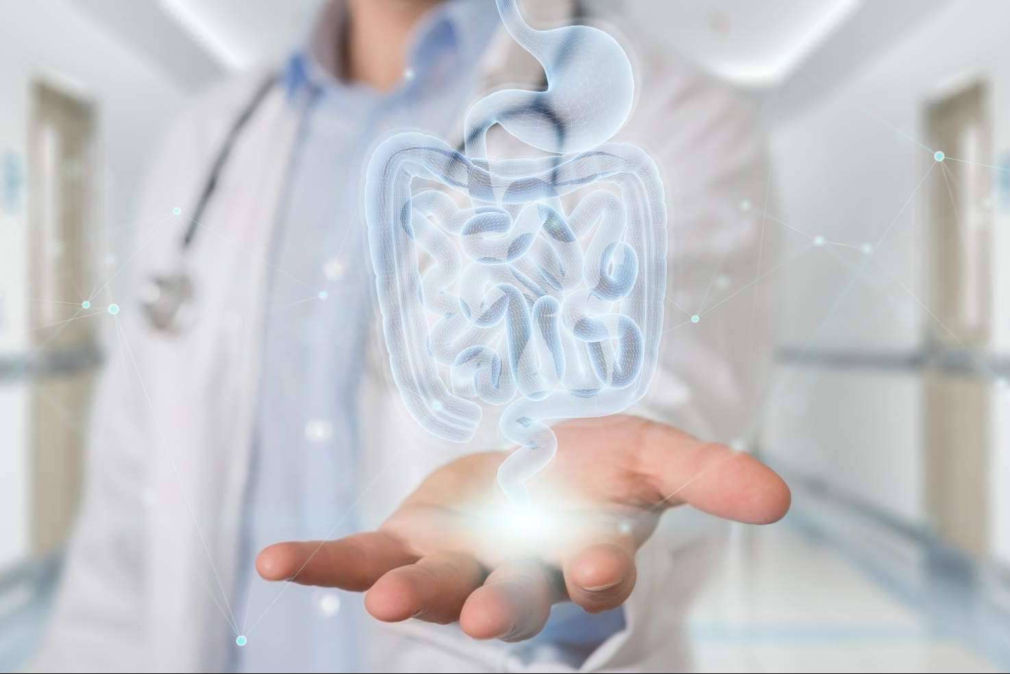 El segundo cerebro, la microbiota