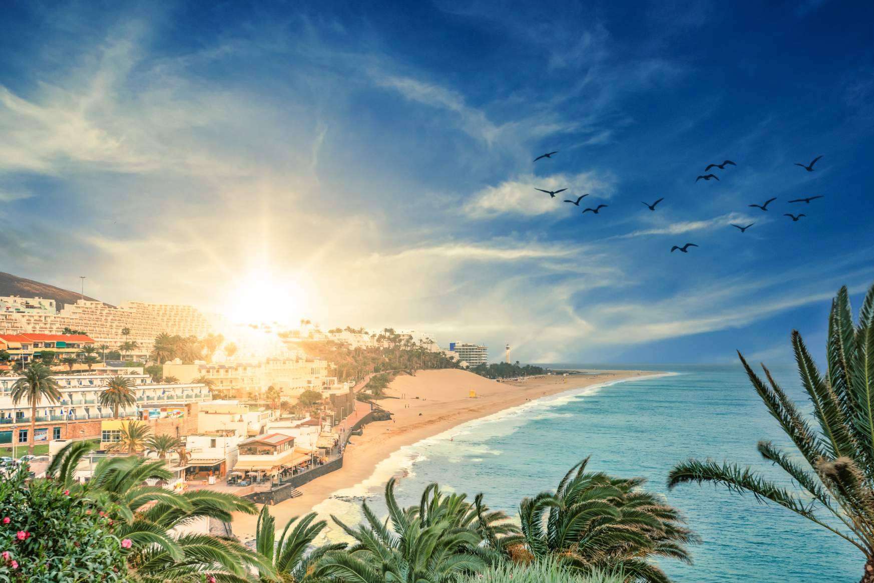 Servicios de mudanzas para aquellos que desean teletrabajar en Fuerteventura, de la mano de Mudanzas Moreno