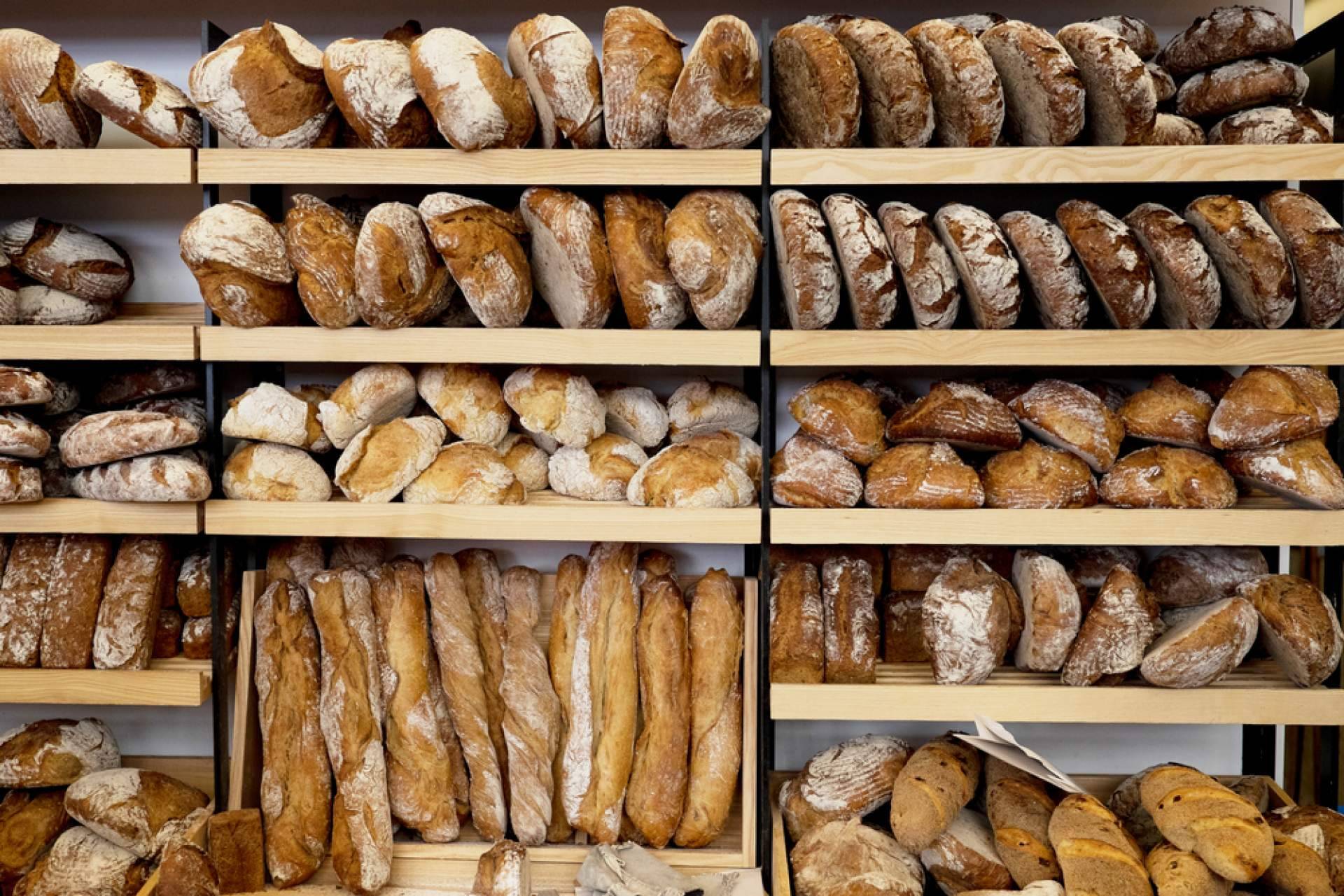 Projectum.es, ¿Cómo obtener una licencia de panadería?