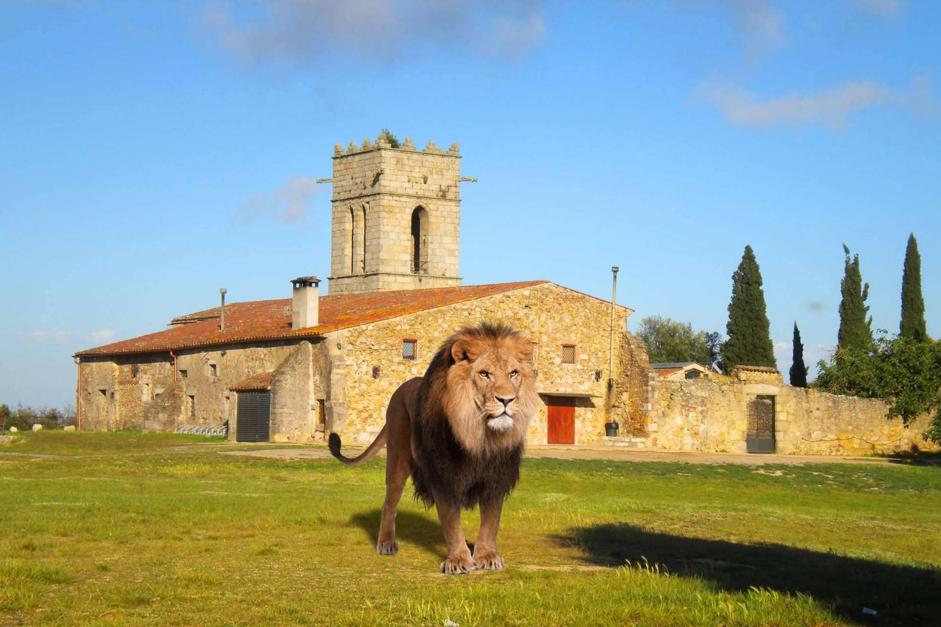 El zoo virtual es 'una realidad'