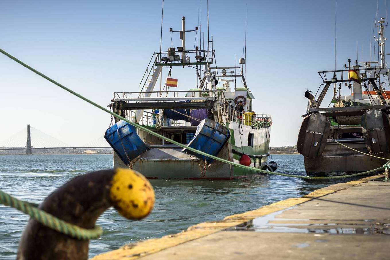 Lonja de Ayamonte sobre las novedades de su pescado de lonja