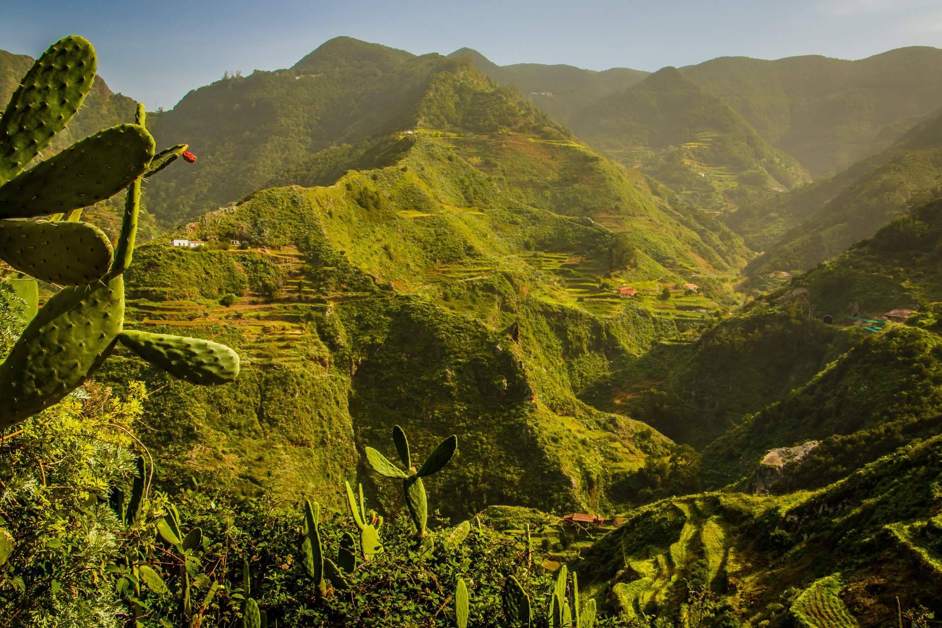 Descubrir Anaga en una excursión privada de Gloma Travel