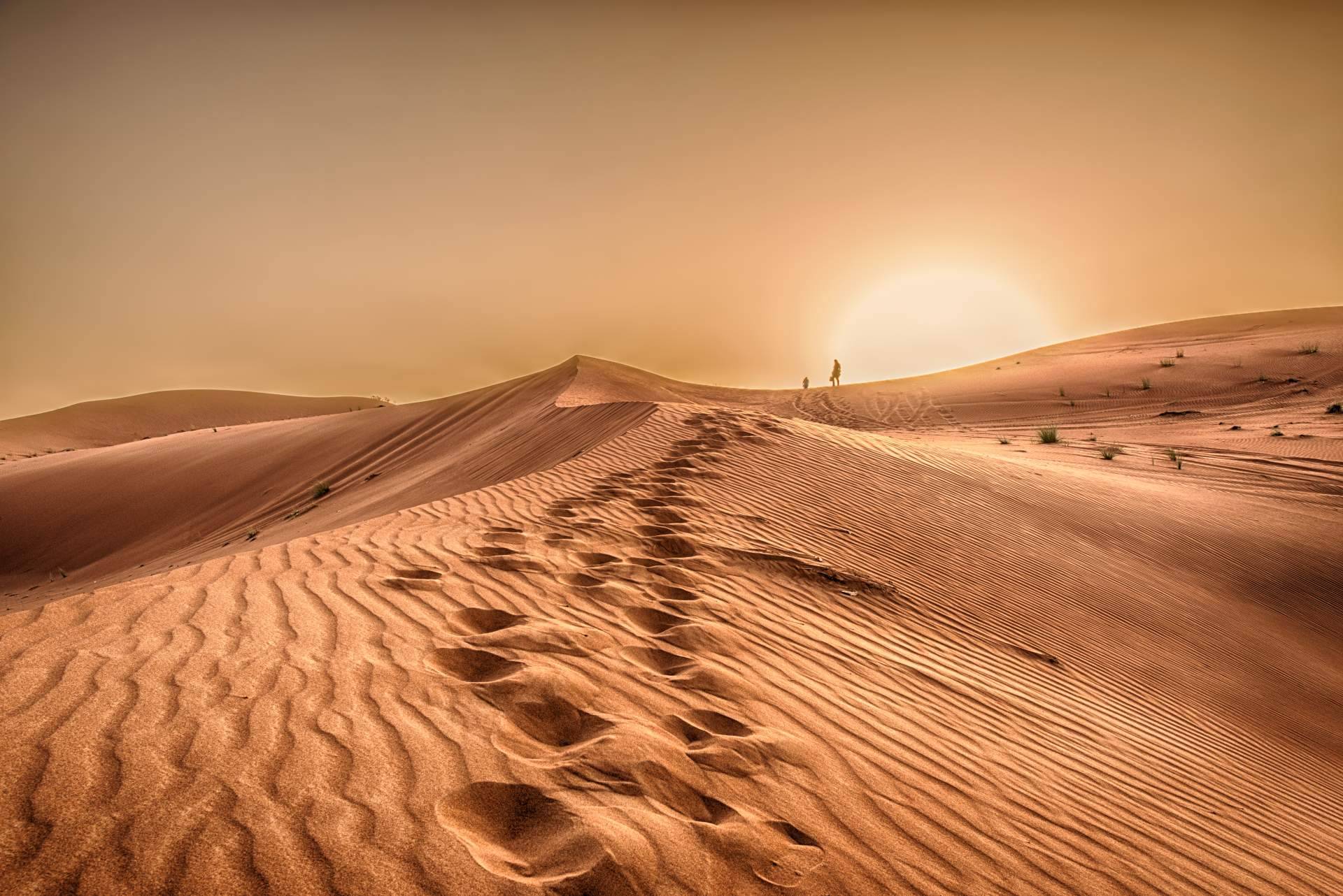 Excursiones en camello a las dunas de Erg Chebbi, de la mano de Camel Trekking Tours