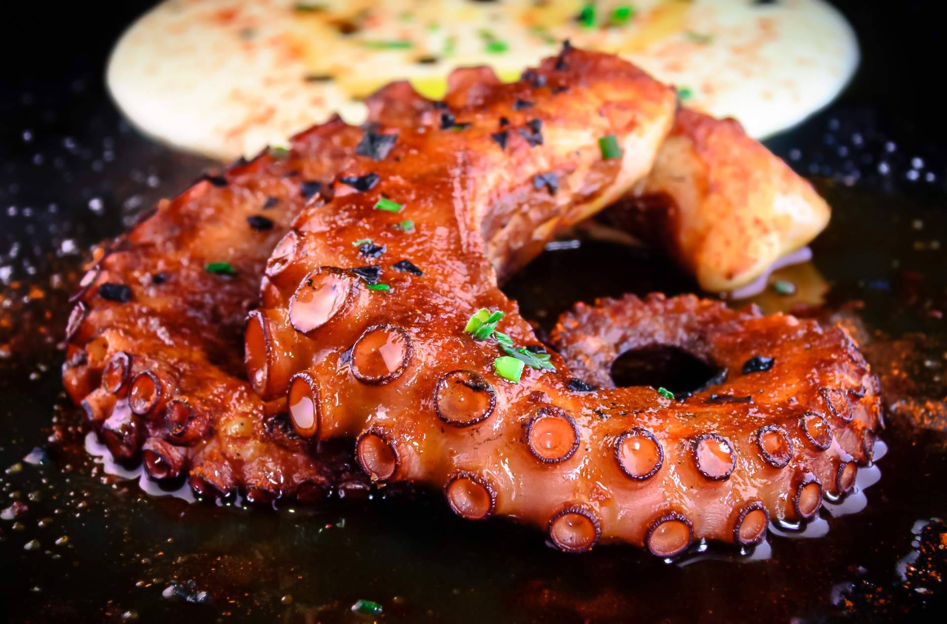 ¿Cuáles son los beneficios del pulpo cocido?, por 3 de Pulpo