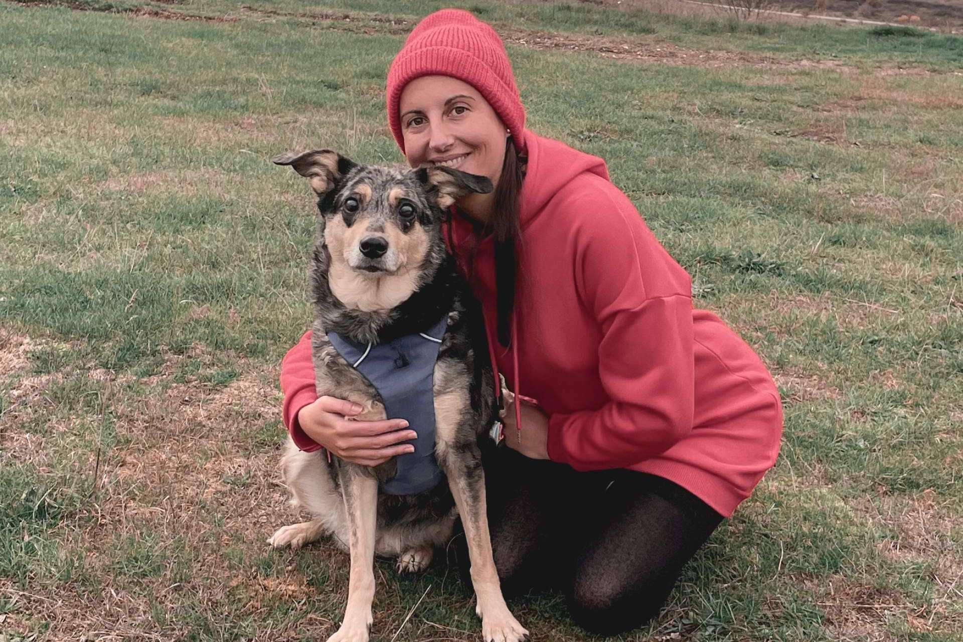 ¿Cuál es la importancia de las emociones en los perros?