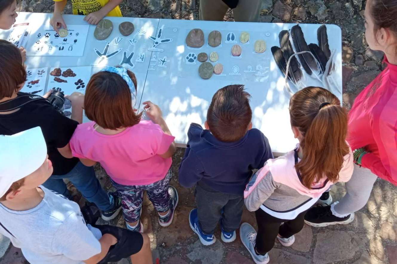 Realizar rutas de senderismo en Alamillo