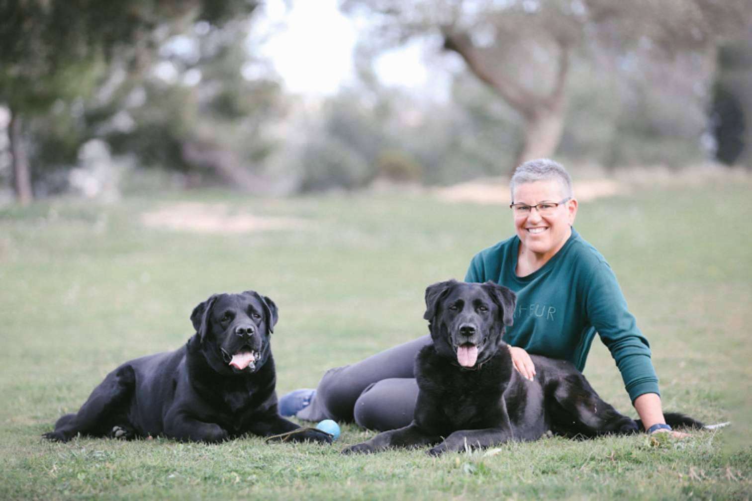 Instituto Dog Coaching, una academia online para mejorar la relación con el perro