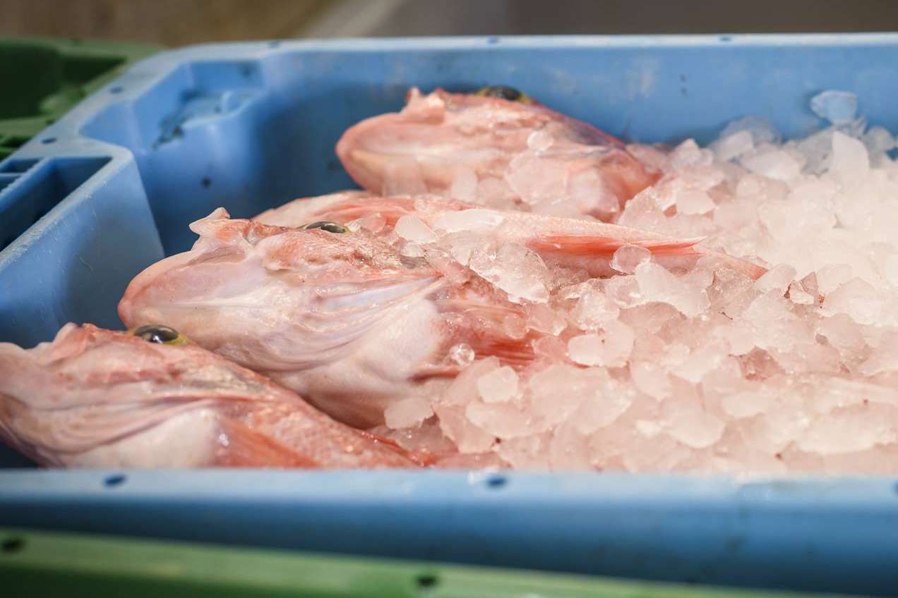 Venta de pescados y mariscos frescos con Lonja de Ayamonte