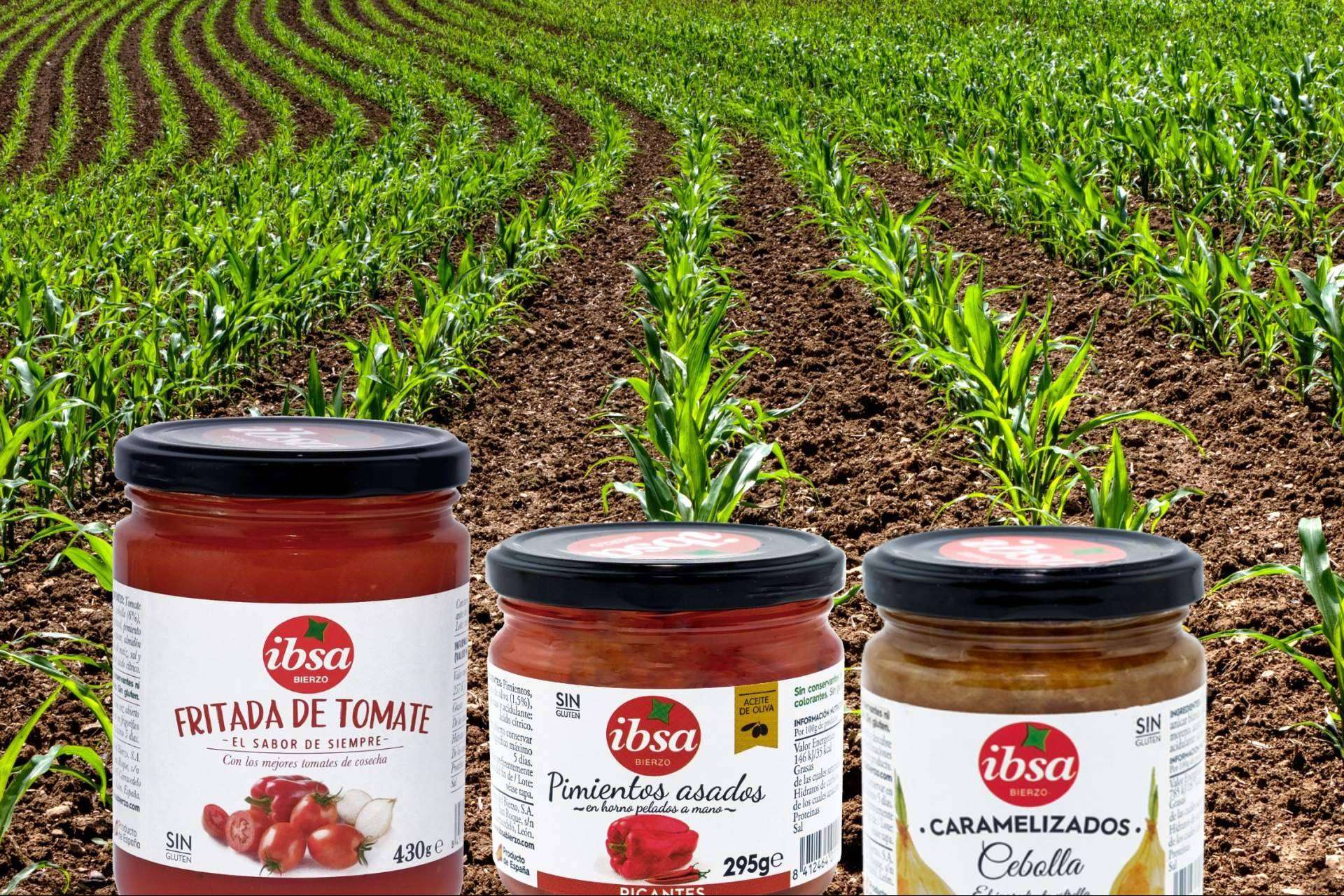 Las conservas vegetales esenciales para una alimentación saludable, de la mano de IBSA