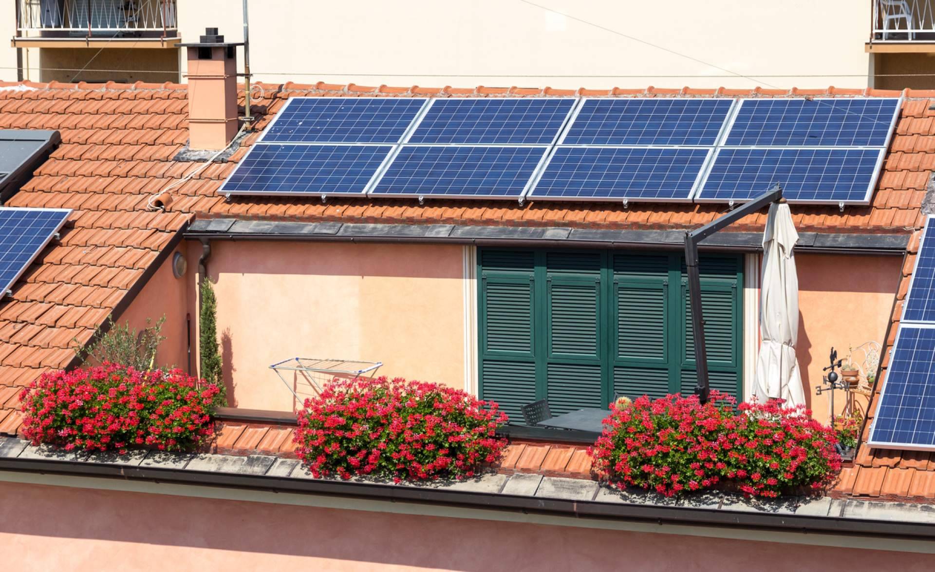 Hacer llegar la energía solar a todos los hogares y empresas, la misión y visión de Yippy Solar