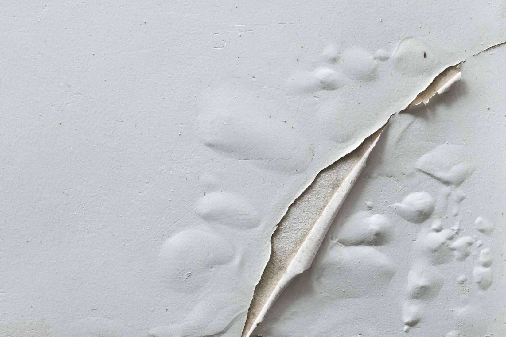 Servicio especializado para quitar la humedad de la pared, con Preactiva