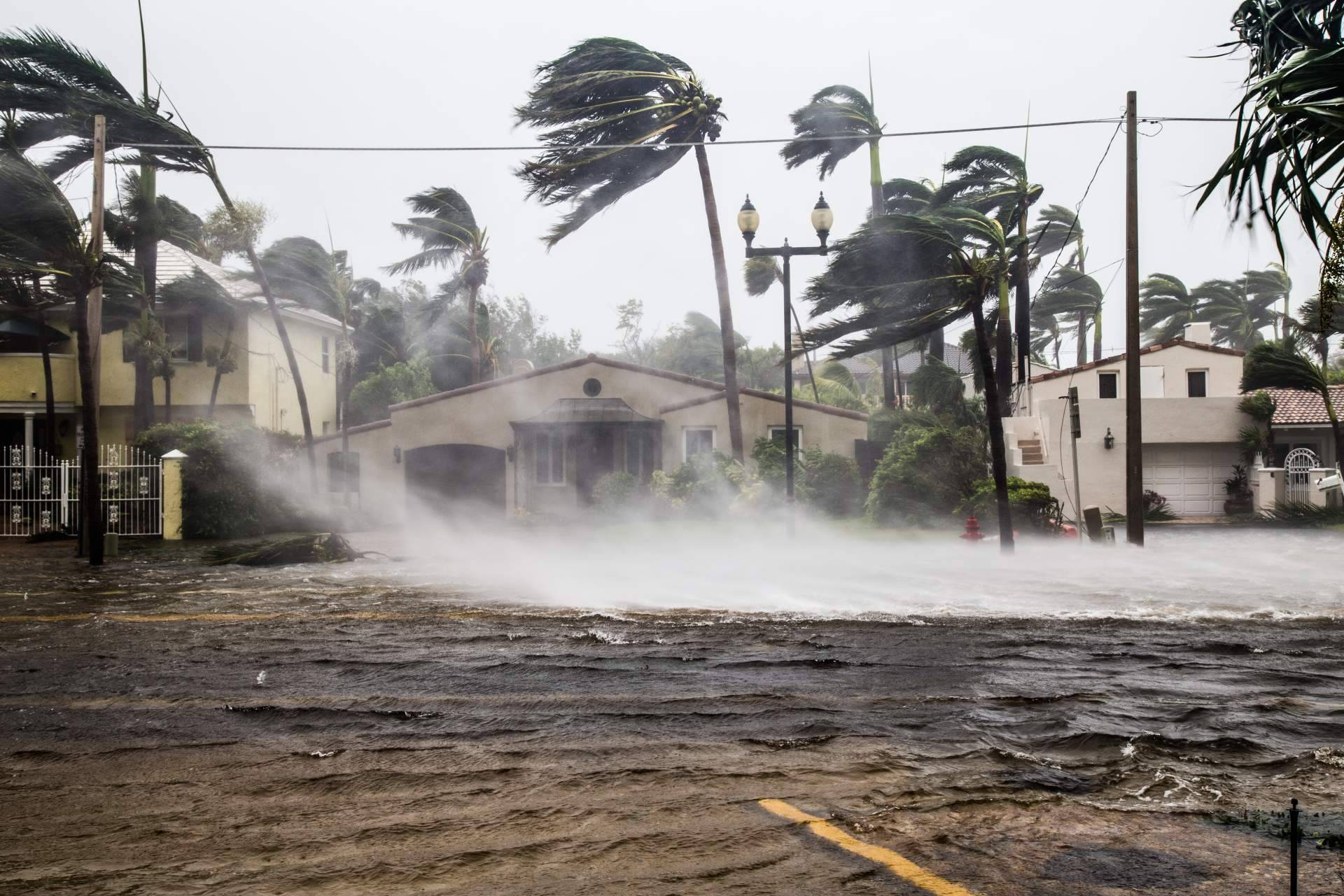 ¿Qué es El Niño y por qué los expertos están hablando de él?, por Noticias Ambientales