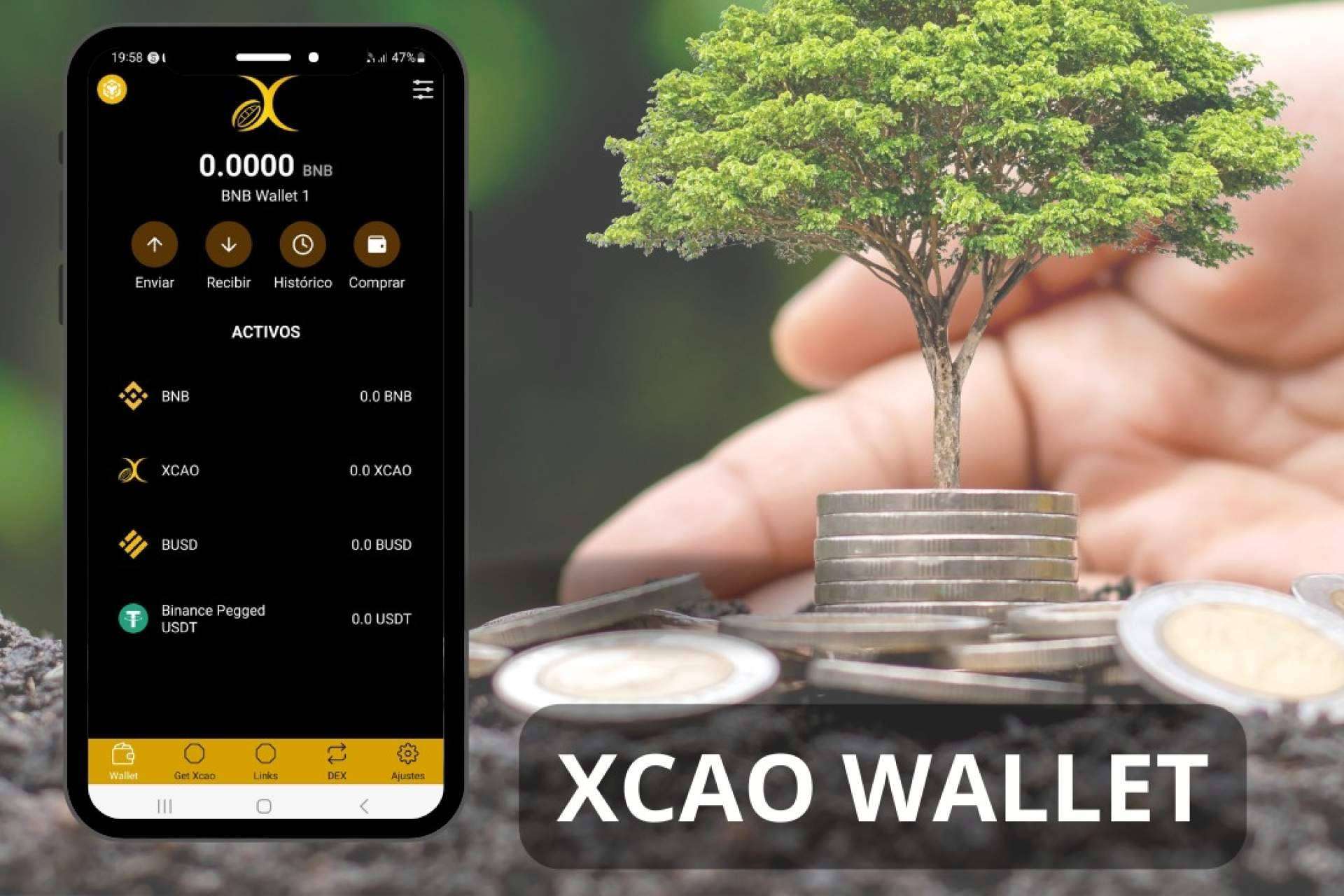 El activo digital NFTS Xcao ha sido creado por Xcao System Group