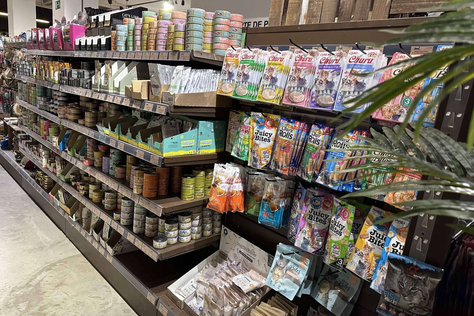 Lobitos & Co ofrece suplementos naturales para gatos