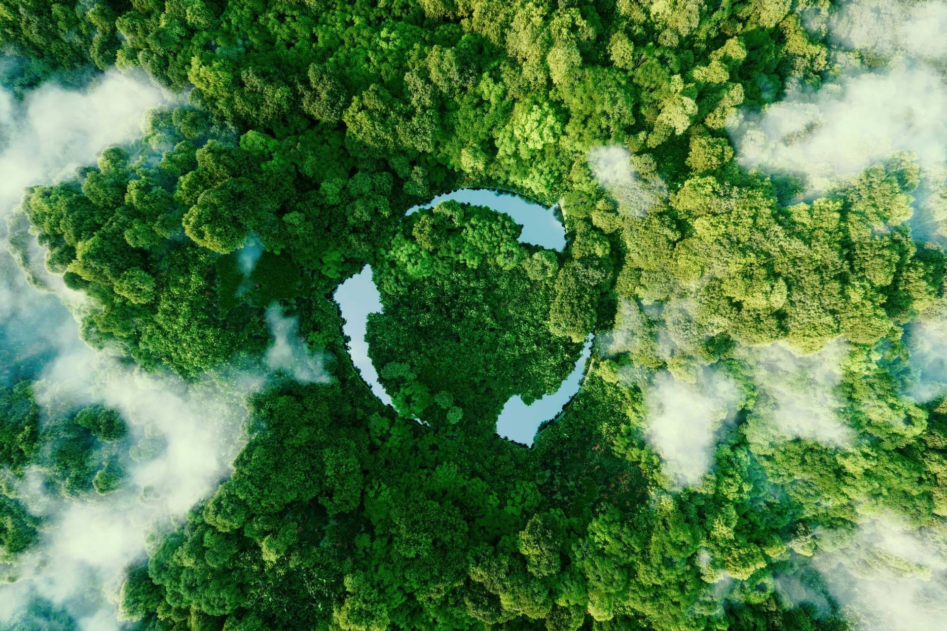 Noticias Ambientales, una plataforma especialista en noticias sobre sustentabilidad