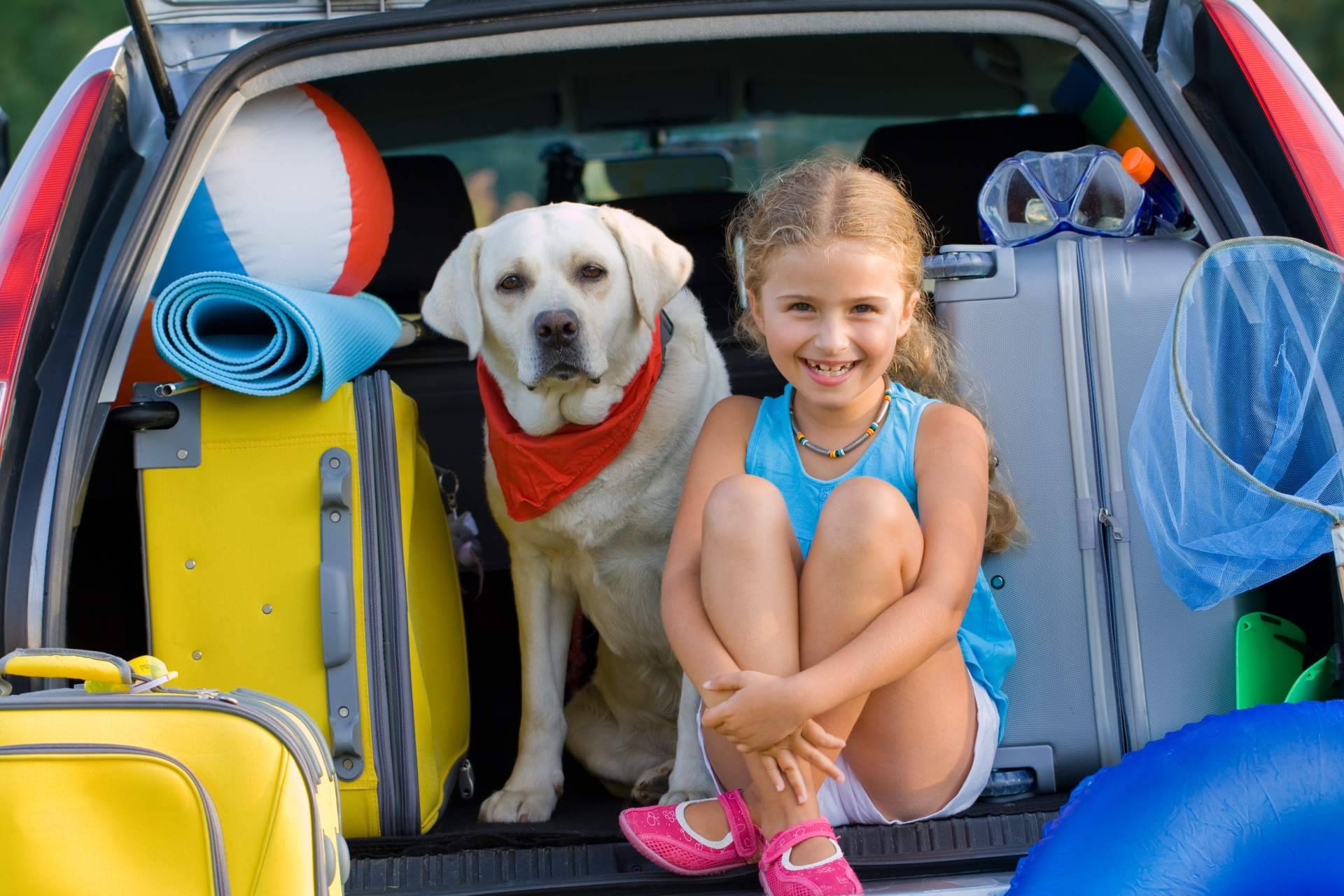 ¿Cuáles son los mejores consejos para planificar las vacaciones cuando hay animales de compañía en la familia?