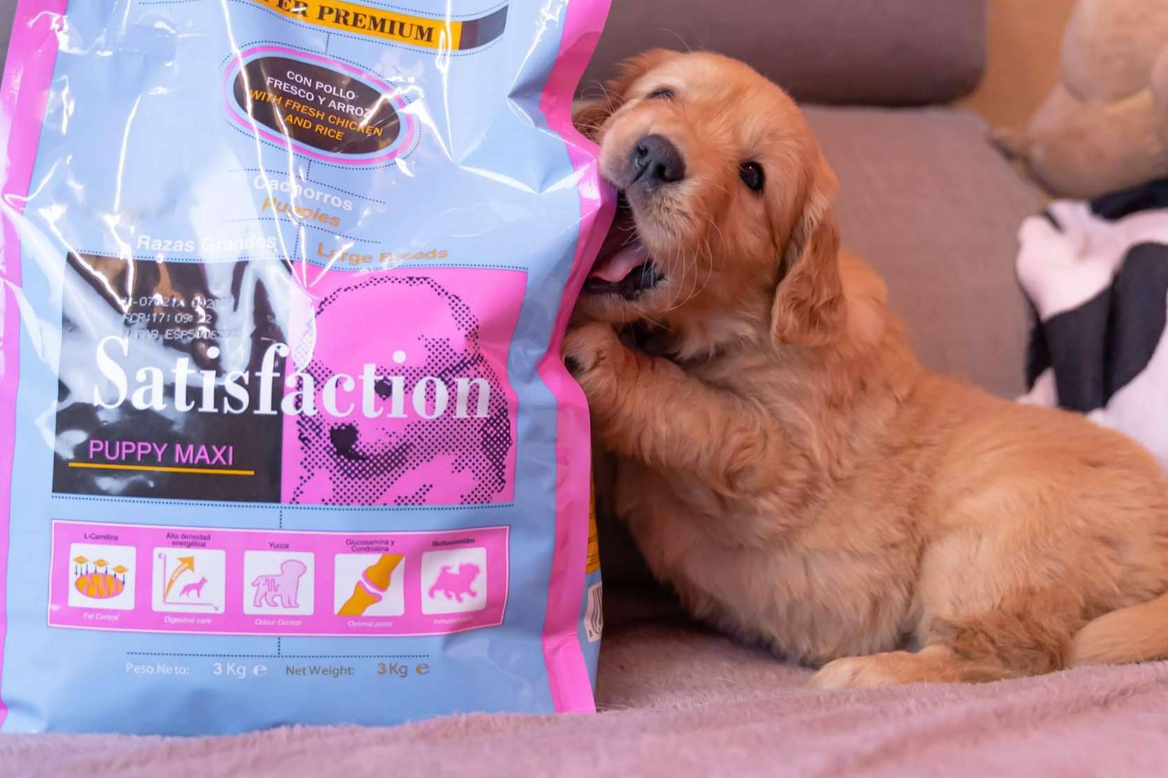 Gama de pienso Satisfaction Super Premium, ¿cuáles son sus beneficios?