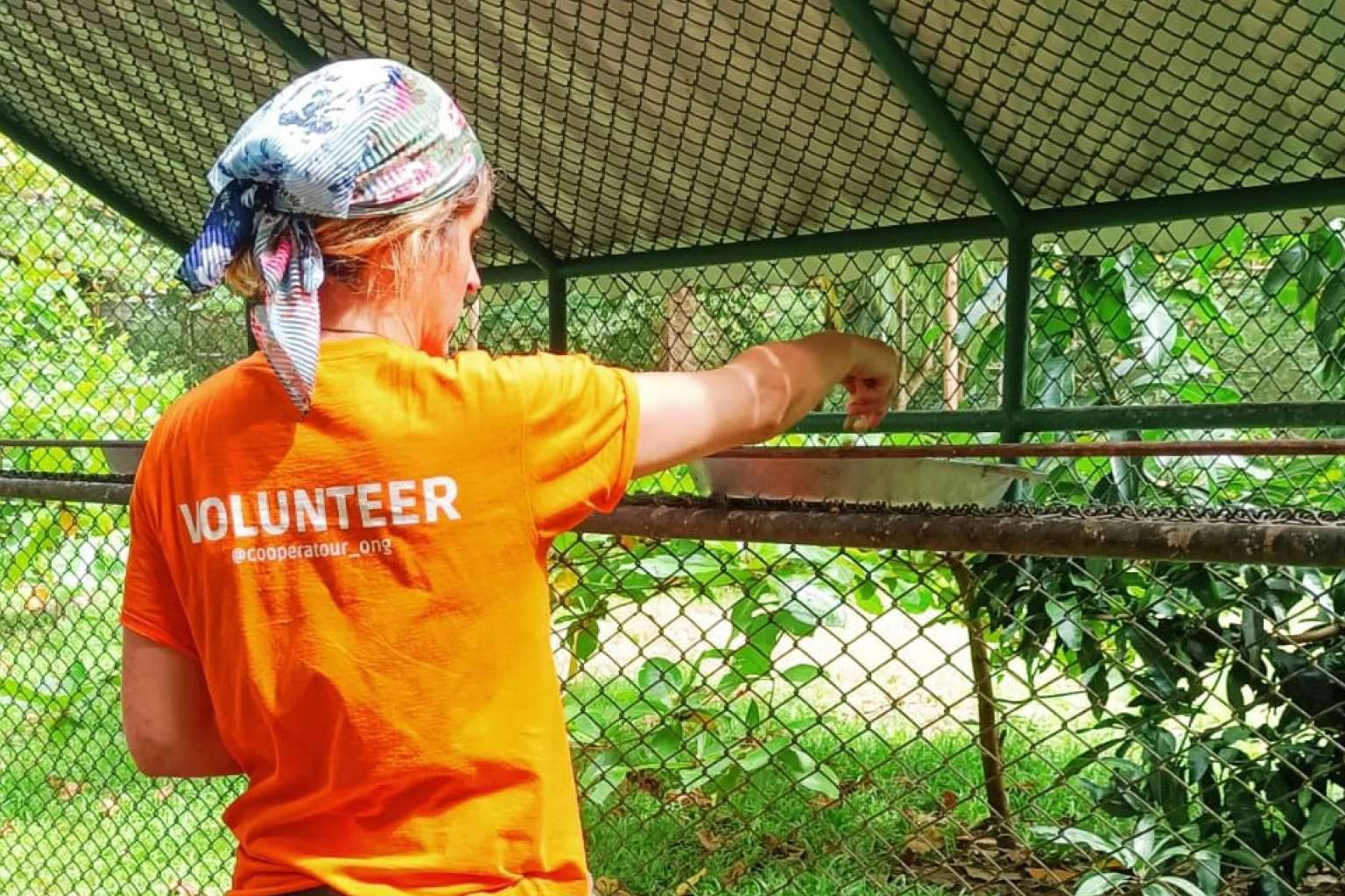 Viajar al extranjero para hacer un voluntariado con animales con Cooperatour