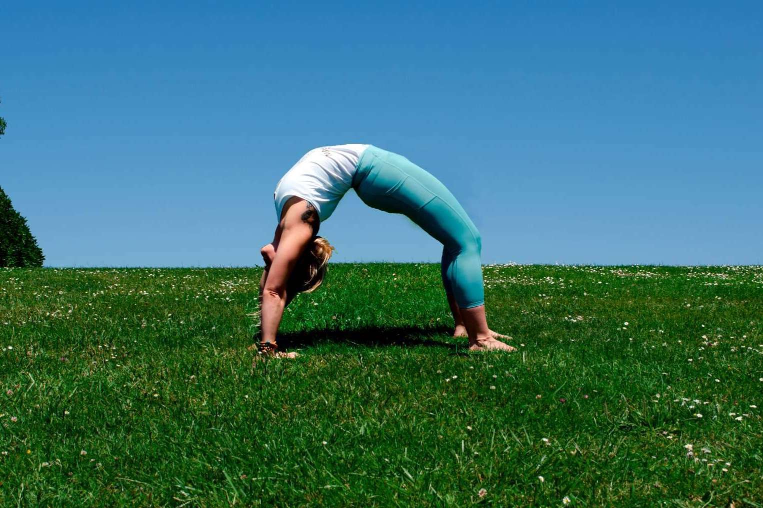 La Escuela Mahashakti permite acceder a formación de profesores de yoga integral y curso de actualización de profesores de yoga