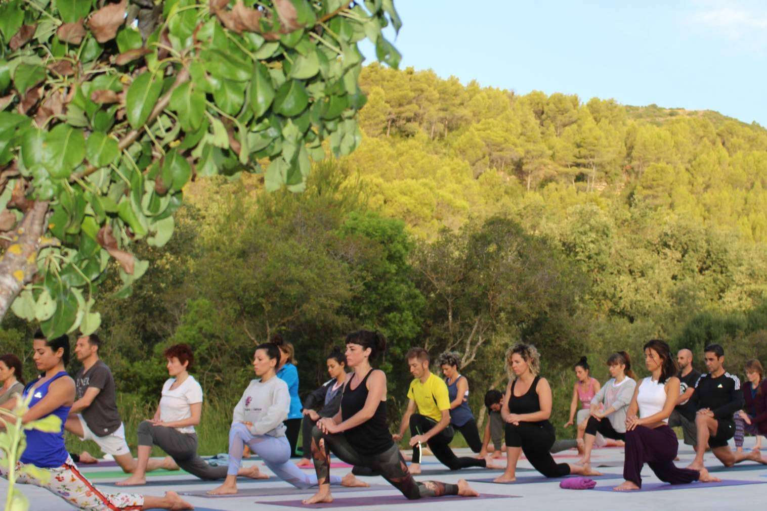 ¿Dónde encontrar retiros intensivos de yoga? Escuela Mahashakti