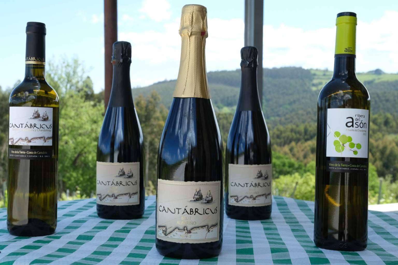 Bodegas Vidular, enoturismo en Cantabria