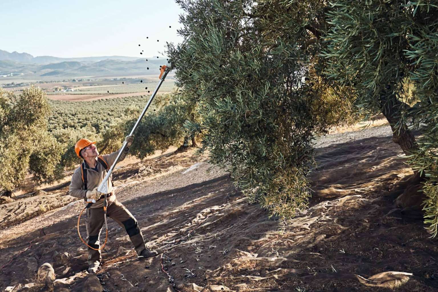 STIHL presenta sus nuevos vareadores SPA de batería 130 y 140 en esta edición de Expoliva
