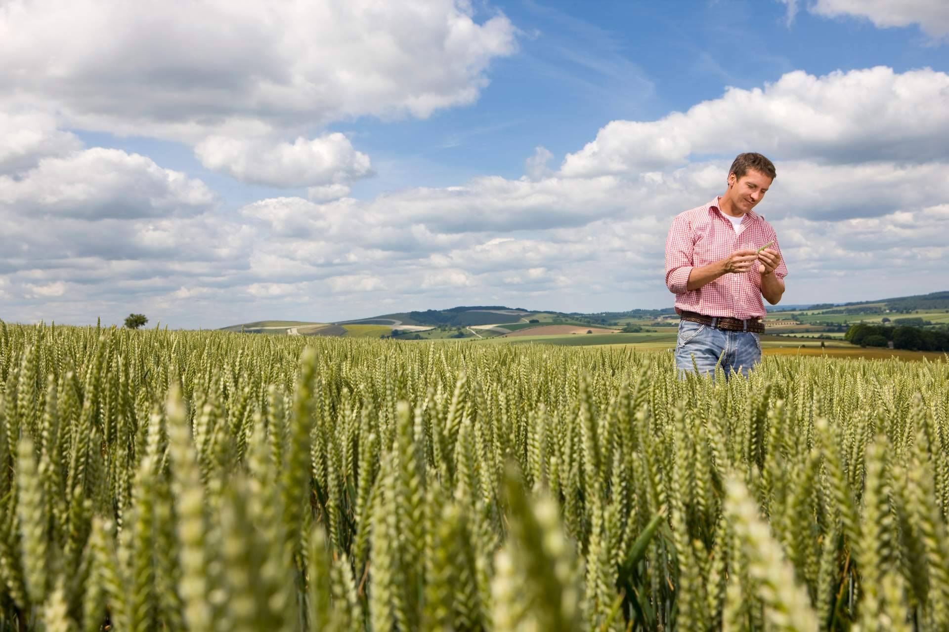 ¿Cómo cumplir con la legislación en el uso de los productos fitosanitarios en el campo? Fitovademécum