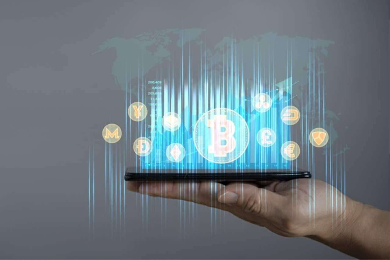 El impacto que Shiba Inu ha sufrido después del colapso de SVB (Silicon Valley Bank)