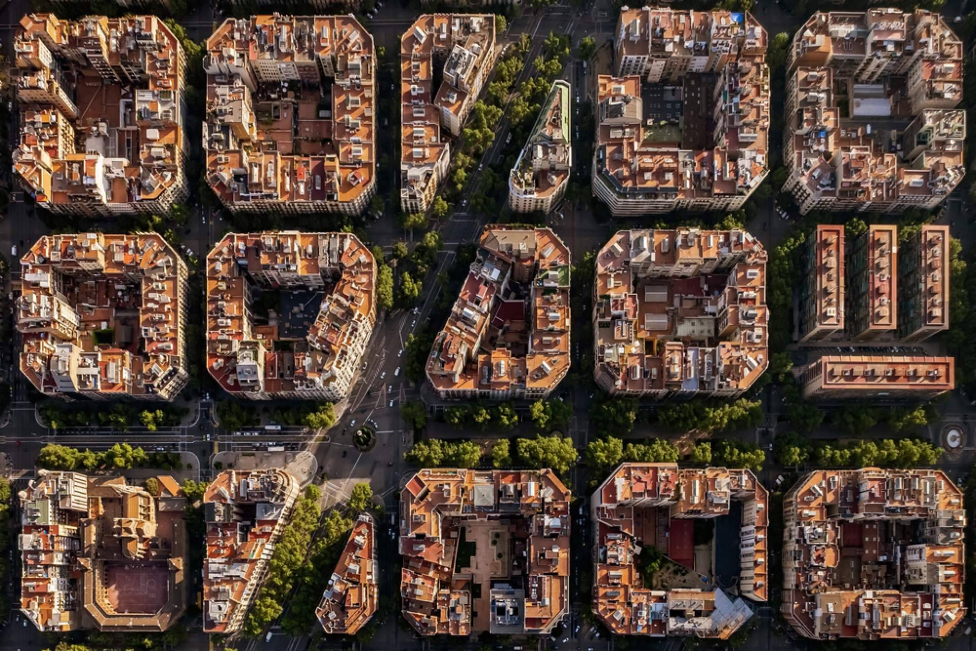La importancia de las visitas a medida y las propuestas de Barcelonina