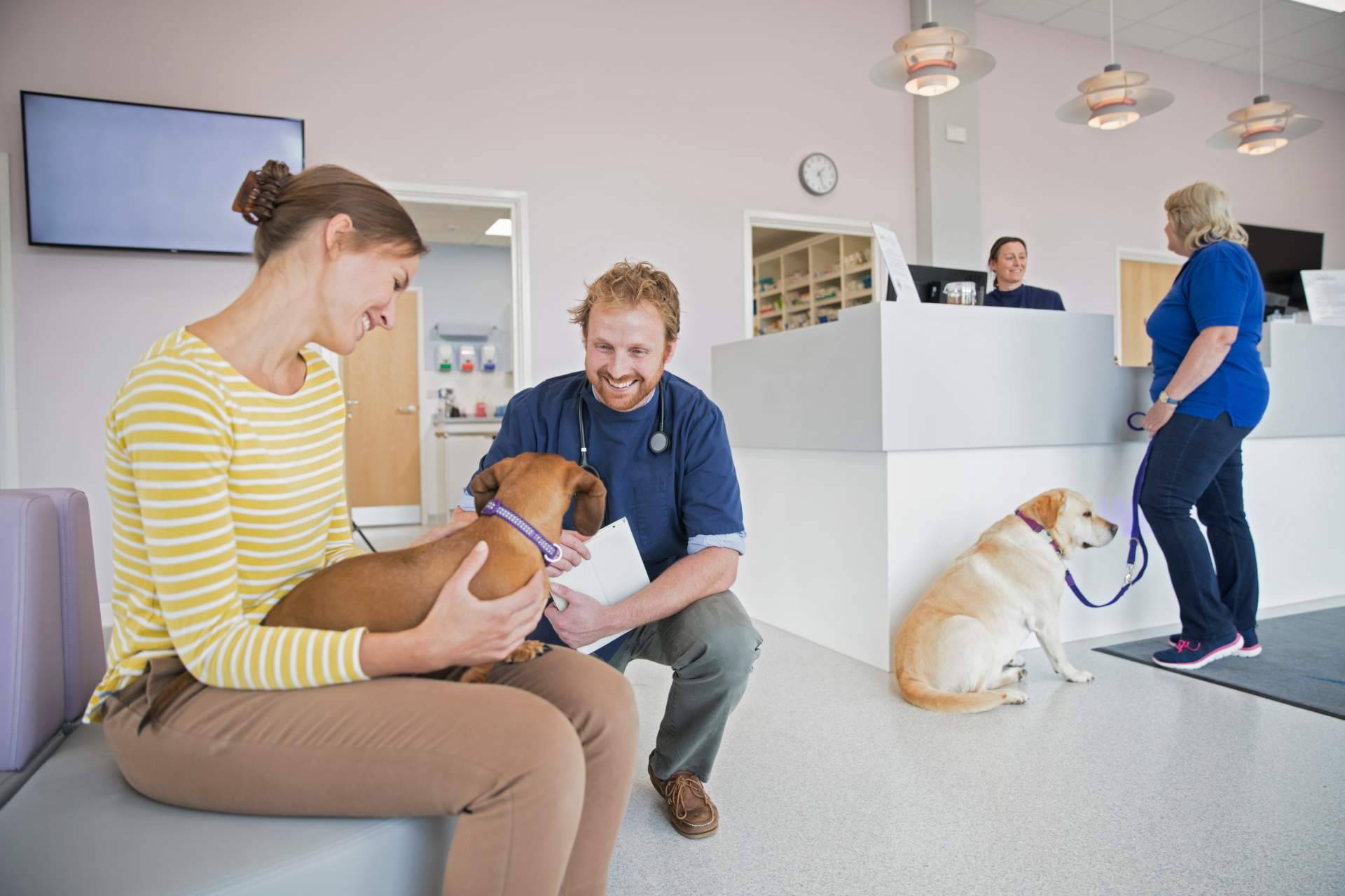 Usar el buscador pet friendly de ADOPTA para encontrar los mejores sitios para disfrutar con el perro