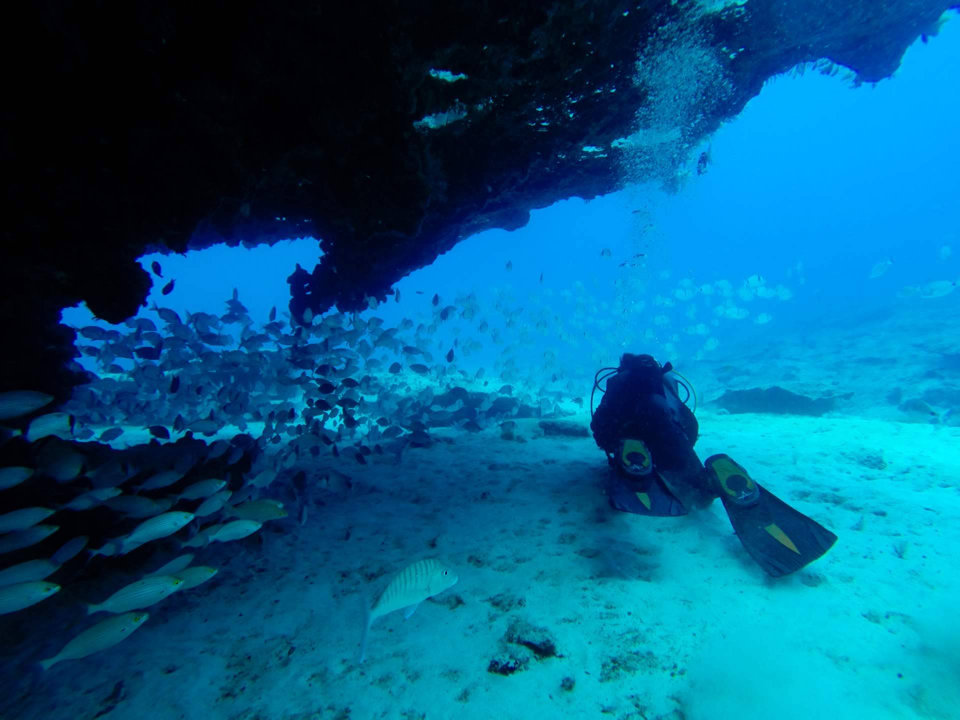 Underwater Barcelona ofrece un curso Open Water Diver PADI para realizar en las playas de Barcelona