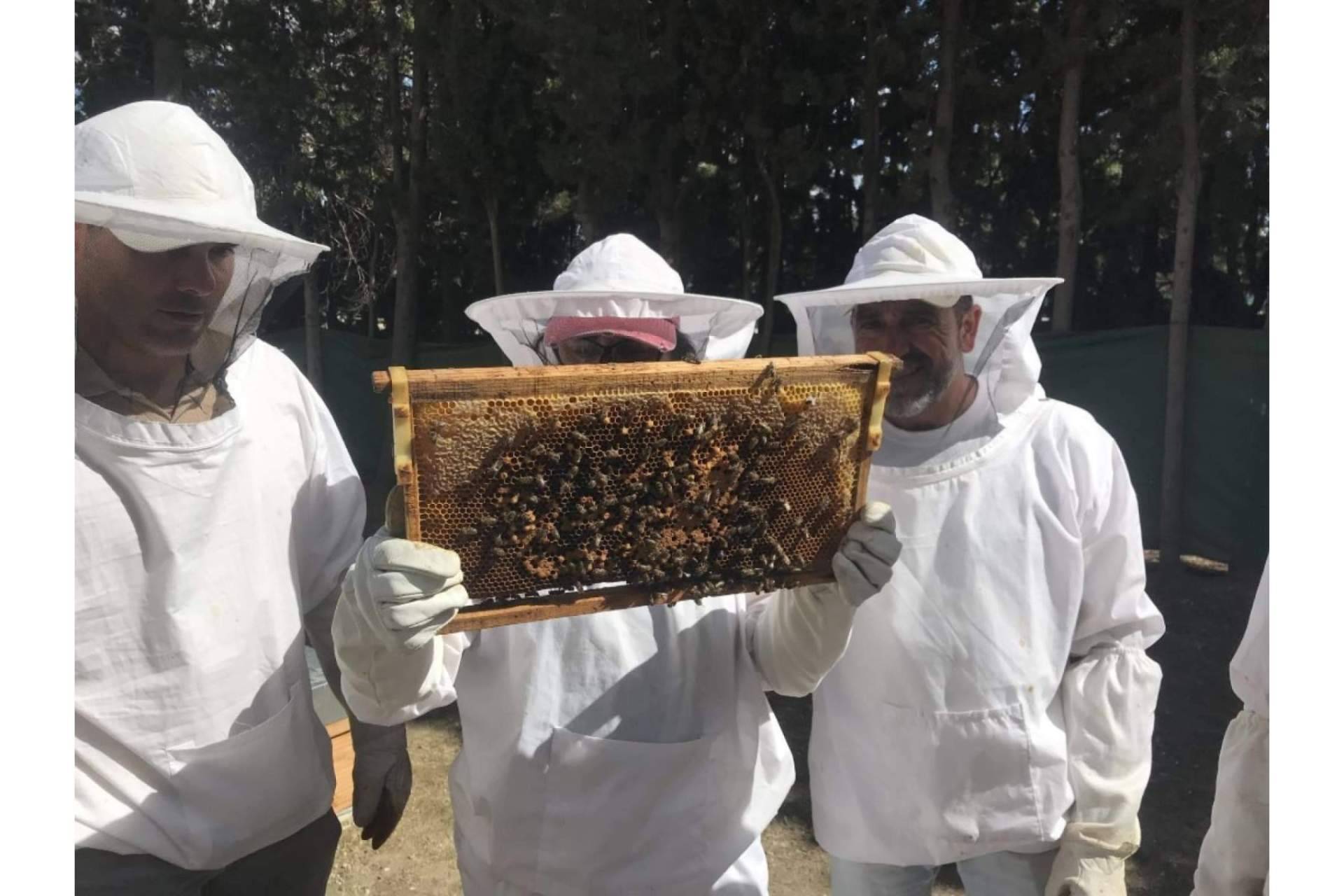 Cursos de Apicultura sobre el papel de las abejas para la seguridad alimentaria y la vida saludable