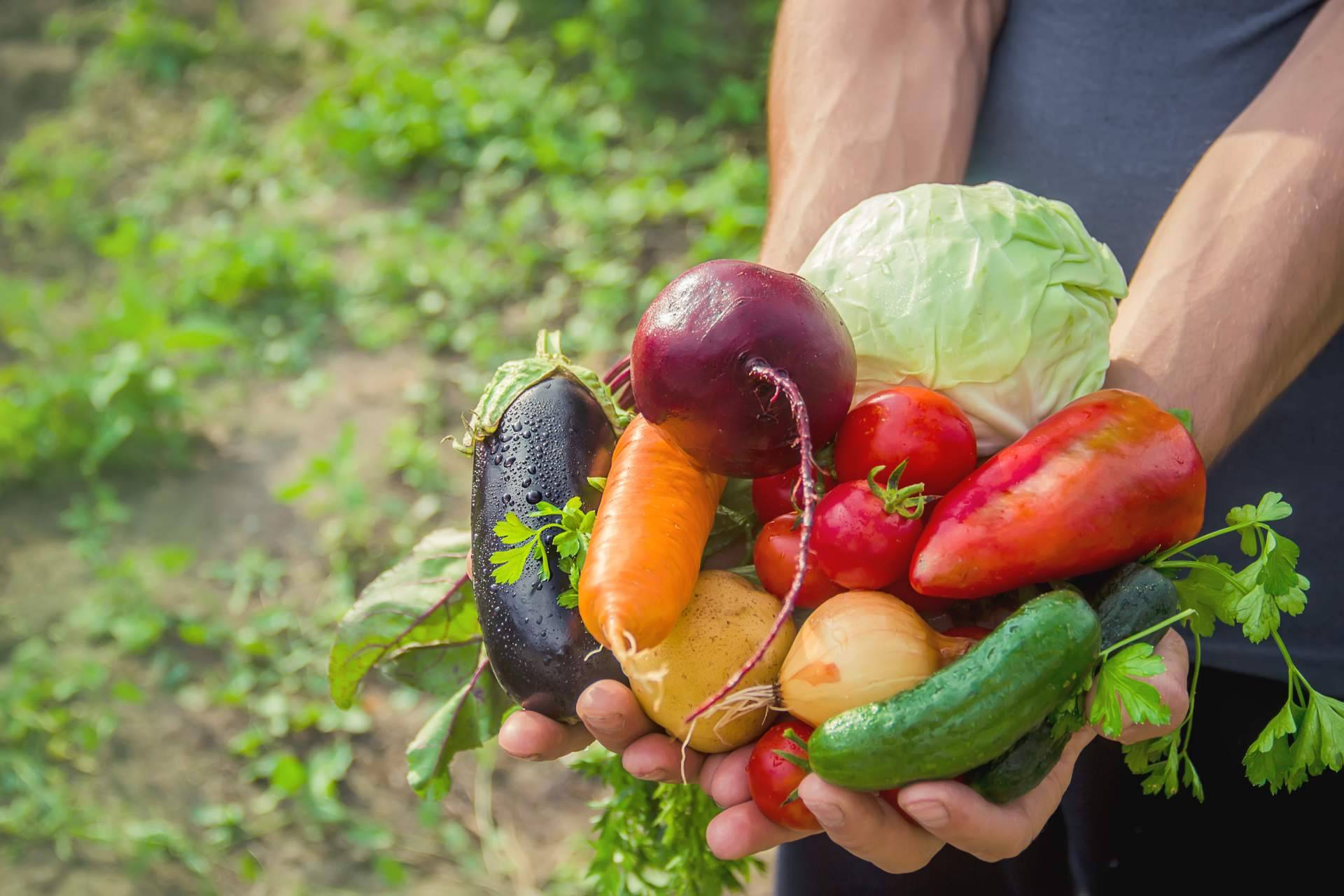 Fomentar la alimentación sostenible con las prácticas que lleva a cabo Serunion