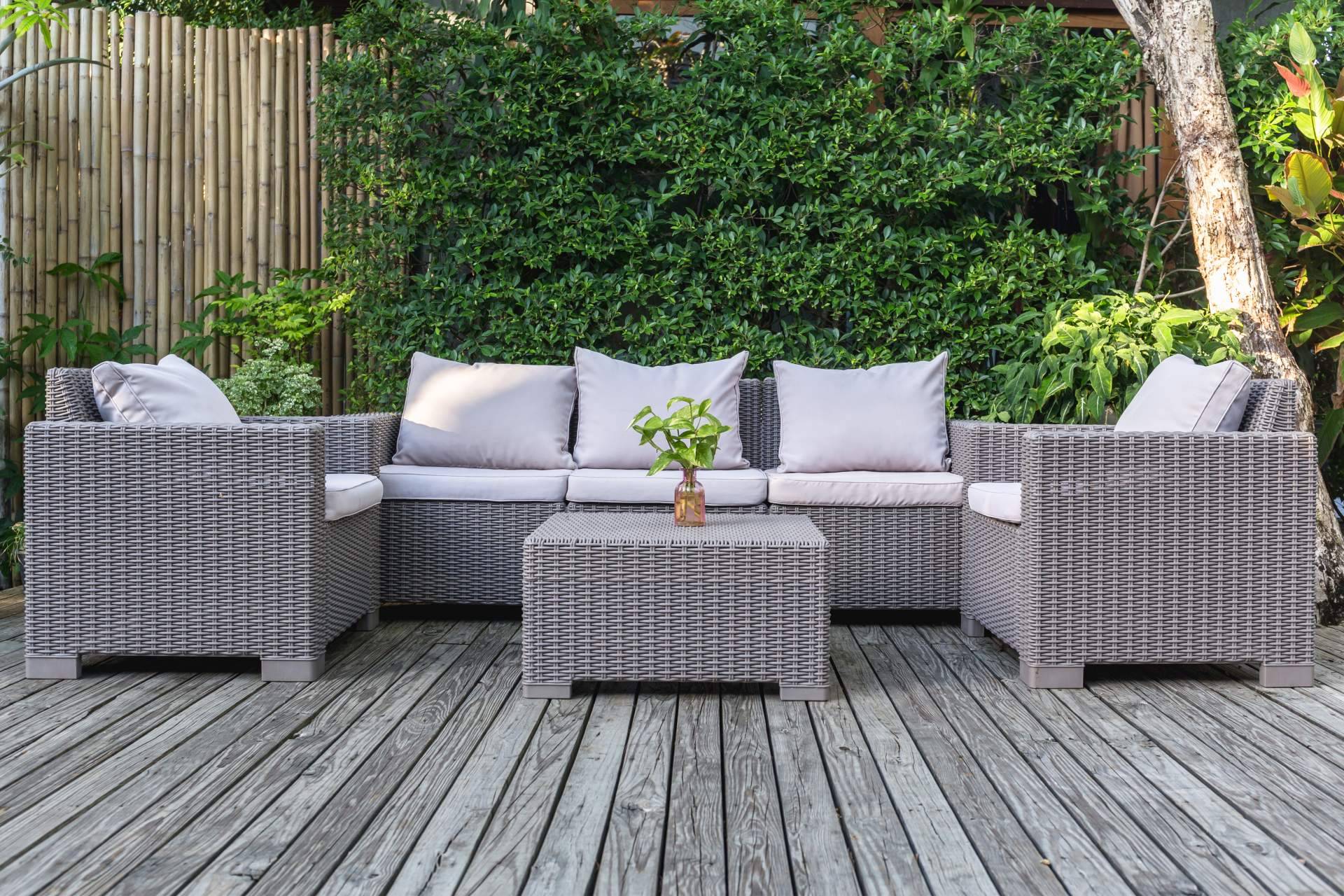 Los beneficios de las plantas de pared colgantes de JardinVertical.es